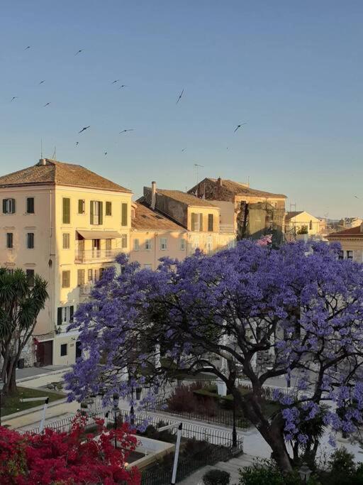 Old Town Corfu Romantic Studio Manto Nymfes Apartment Exterior photo