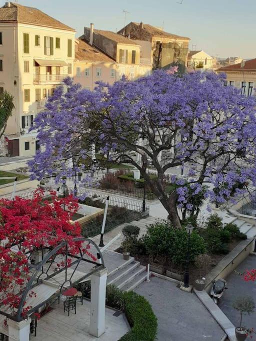 Old Town Corfu Romantic Studio Manto Nymfes Apartment Exterior photo