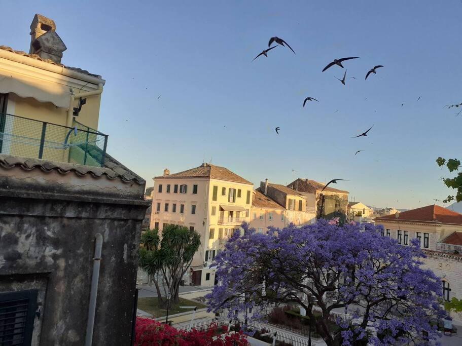 Old Town Corfu Romantic Studio Manto Nymfes Apartment Exterior photo